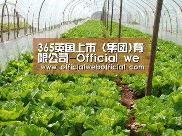 种植基地五