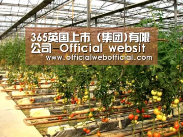 种植基地二