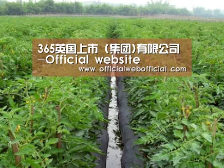 种植基地三