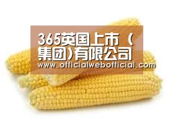 产品名称五