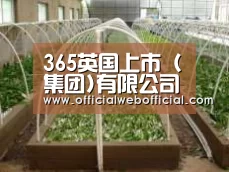 环境展示五