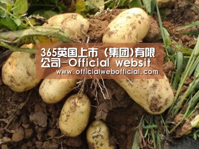 种植基地六
