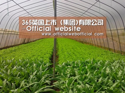种植基地四