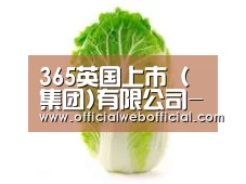 产品名称一