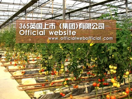 种植基地二(图1)
