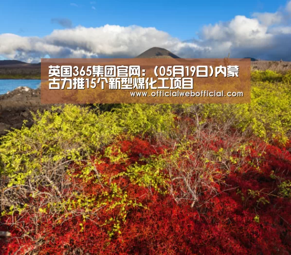 英国365集团官网:(05月19日)内蒙古力推15个新型煤化工项目(图3) 英国上市公司365