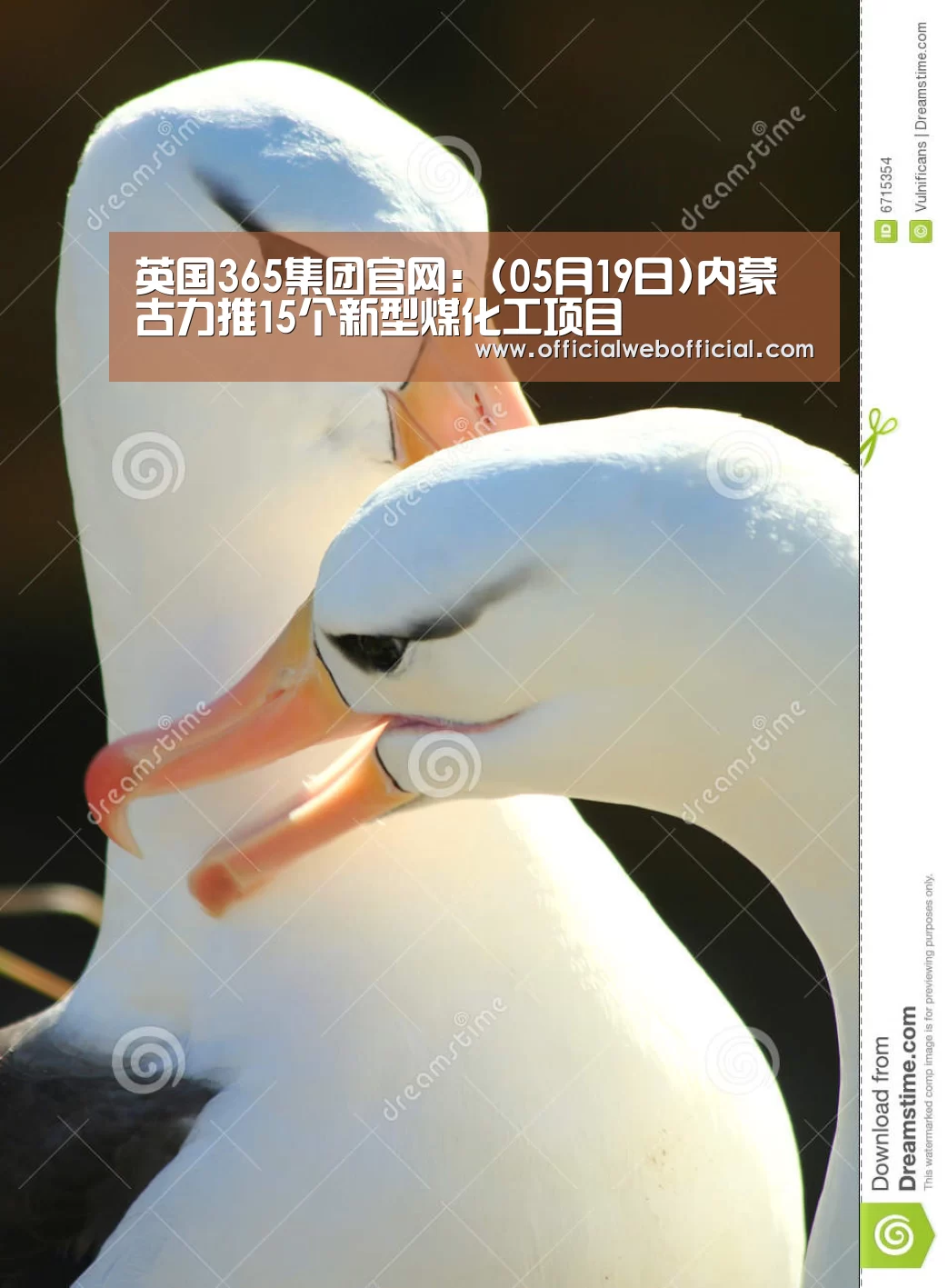 英国365集团官网:(05月19日)内蒙古力推15个新型煤化工项目(图4) 英国365集团官网