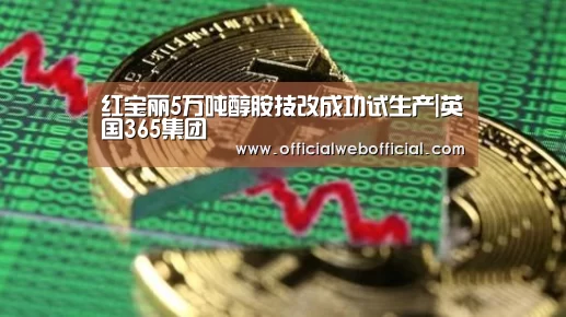 红宝丽5万吨醇胺技改成功试生产|英国365集团(图2) 英国上市公司365